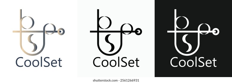 Logo Coolset with gradient color and monochrome color
