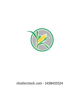 logo corn vector for inspiration