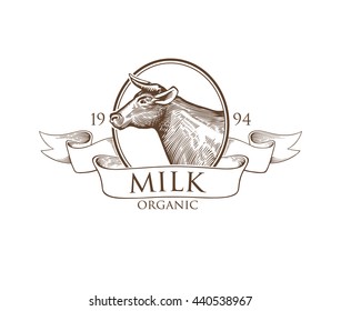 Logo Cow in a Cameo with Ribbon. Vector illustration in Vintage Engraving Style. Grunge label for the farm, rural, agricultural organizations, milk product. Sticker depicting cow. Isolated.
