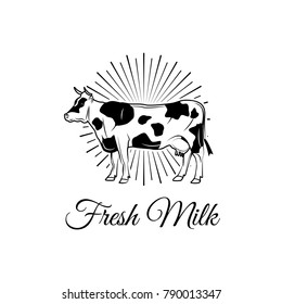 Logo Cow. Vector illustration in Vintage Style. Fresh milk. Isolated on white background.