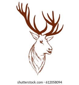 Logo deer head drawn by hand in the styles of hand drawing