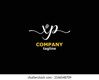 the logo describes the initial letter xp, suitable for fashion logos and other businesses