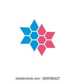 Logo Design Abstract Ornament Pattern For Design star