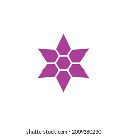 Logo Design Abstract Ornament Pattern For Design star
