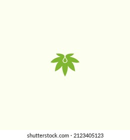 Diseño de logotipo extracto de cannabis o hoja de cannabis con gotas líquidas de aceite