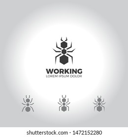 Logo design concept of ant with variations