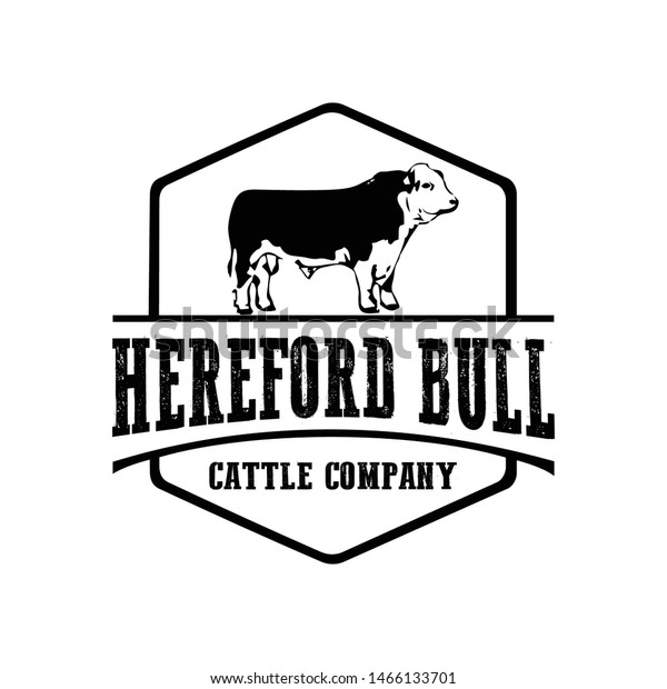 Logo Design Concept Superior Cattle Farming Stock Vector Royalty