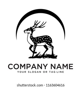 logo design deer