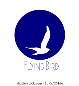 Logo design. The flying bird with blue circles stylized on white color background.