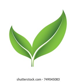 Logo design for green leaves