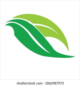logo design of leaf.leaf vector art illustration.leaf icon design.modern leaf template design