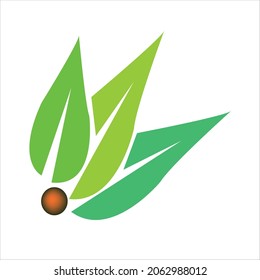 diseño de logotipo de la ilustración de arte vectorial leaf.leaf diseño de iconos.diseño de plantilla de hoja moderna