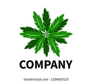 logo design leave illustration icon symbol. palm green floral leave. eco logo icon for tourism or beach vacation