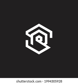 Logo design letters SR Hexagon shape Vector template