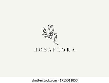 Logo Design of Minimalist Botanical Plant with Slim Leaf. Vintage Modern Vector Line Art Design Template