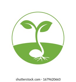 logo design for plant nursery, organic farming, christian organization. Tiny mustard plant emerging from seed.
