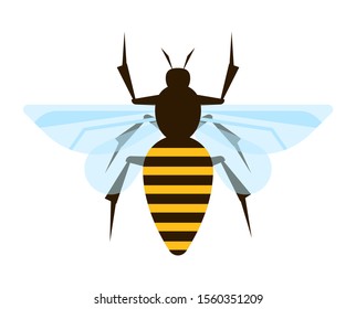 Logo Design for The Raw Honey Shop with the bee. flat design. vector illustration. Detailed illustration