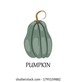 
logo for design. separate vector element on white background. autumn vegetables. pumpkin with text.