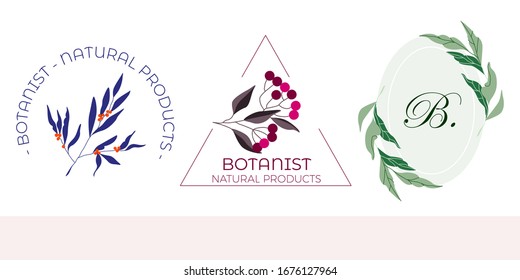 Logo design set. Floral logo kit. Tree branches and dark berries. Line oval frame, circular and triangle logo frames. Line art. Modern hand drawn vector brand logo design templates.
