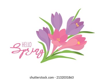 Logo para el diseño de las tarjetas de primavera. Icono dibujado a mano de tulipanes de primavera, crocus. El vector aisló elementos coloridos.