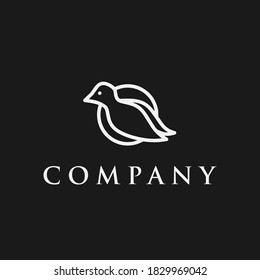 Logo design template, with black and white line art bird icon
