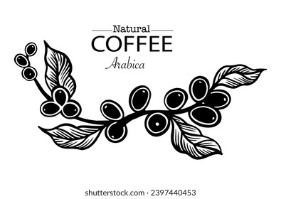 logo design template of coffee tree on sketch ink drawing for label packaging, sticker, poster, promotion, banner, t-shirt, tote bag, stamp.