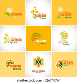 Logo design template with flower. Logotype icon. Vector.