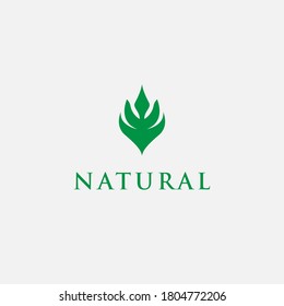 Logo design template, with green leaf icon