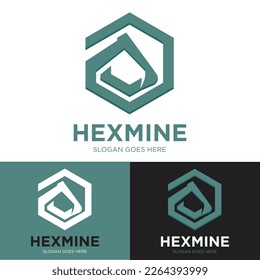 The logo design template has many functions and uses, with 3 display options