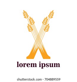 Logo design template. Letter X concept. Creative vector icon