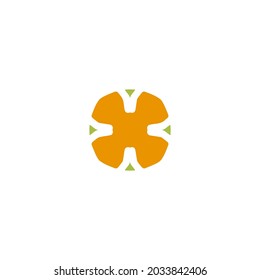 Logo design template, with ornamnet concept