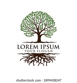 LOGO DESIGN WITH THEME TREE AND ROOTS