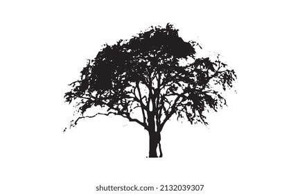 logo design of tree vector illustration black and white