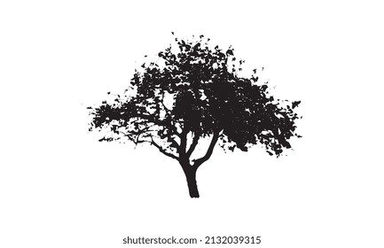 logo design of tree vector illustration black and white