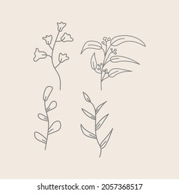 logo design vector hand drawn plant