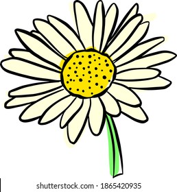 568 Buttercup flower icon Images, Stock Photos & Vectors | Shutterstock