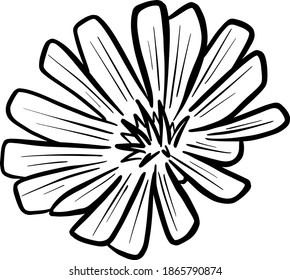 A Logo Design Of a Wildflower Flower Icon Buttercup, Daisy, Dandelion, Etc