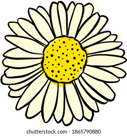 A Logo Design Of a Wildflower Flower Icon Buttercup, Daisy, Dandelion, Etc