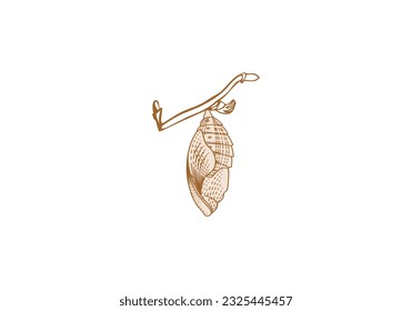 Logo detailed line chrysalis and branch. Old vintage style logo. editable color. 