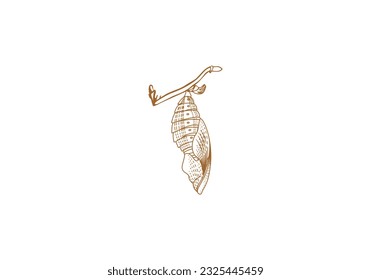 Logo detailed line chrysalis and branch. Old vintage style logo. editable color. 