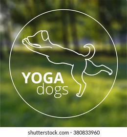 Logo for dog yoga studio on blur background. Yoga pose in a circle