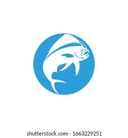logo dolphins design vector modern graphic