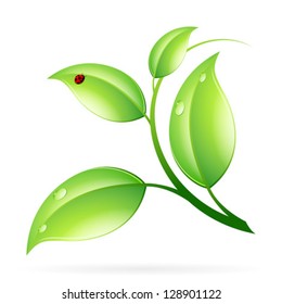 Logo Ecology Concept with Green Leaves and Ladybug