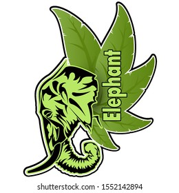 logo of an elephant on a background of leaves