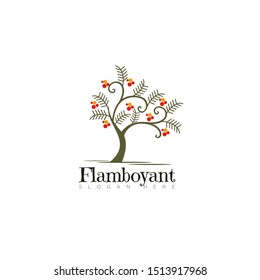 logo flamboyant, elegance tree vector