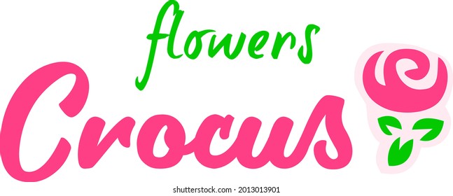logo for a flower shop