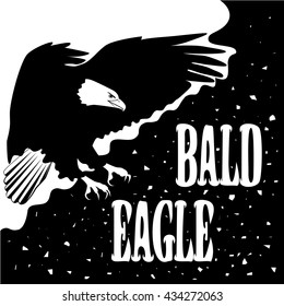 Logo with flying bald eagle and lettering over white and black background.