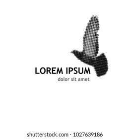 Logo flying bird. Vector