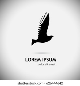 Logo flying bird. Vector