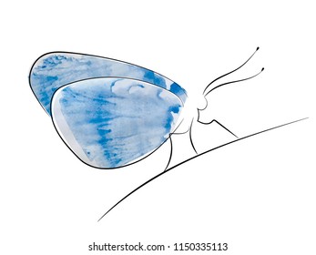 logo in the form of a stylized butterfly sitting on a blade of grass, created from a watercolor stain in different versions